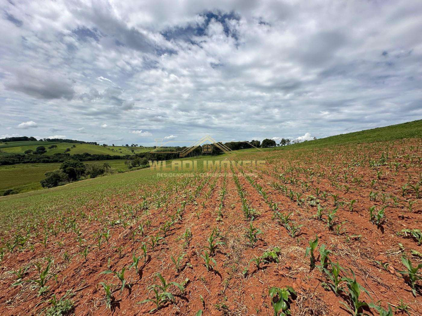 Fazenda, 14 m² - Foto 11