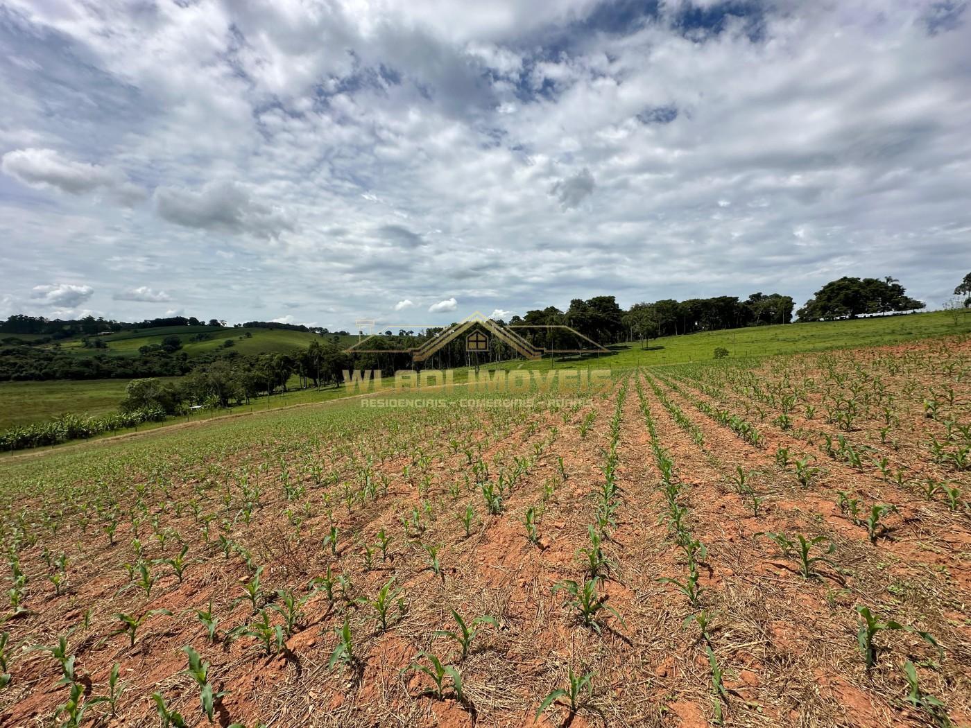 Fazenda, 14 m² - Foto 13