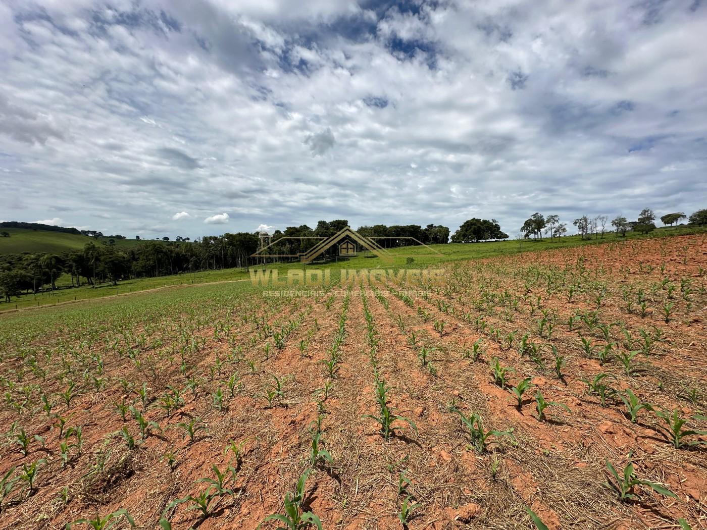 Fazenda, 14 m² - Foto 8