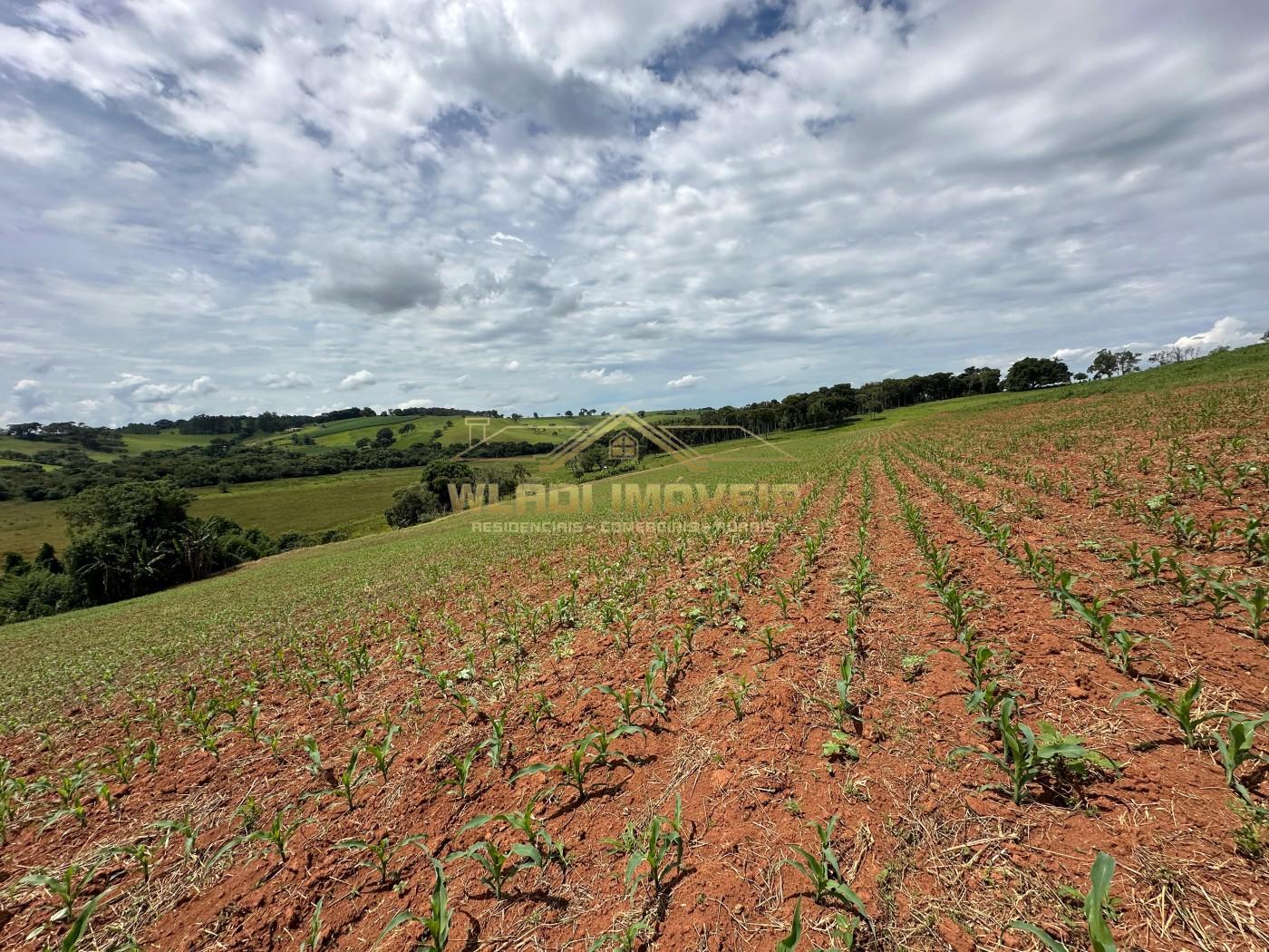 Fazenda, 14 m² - Foto 14