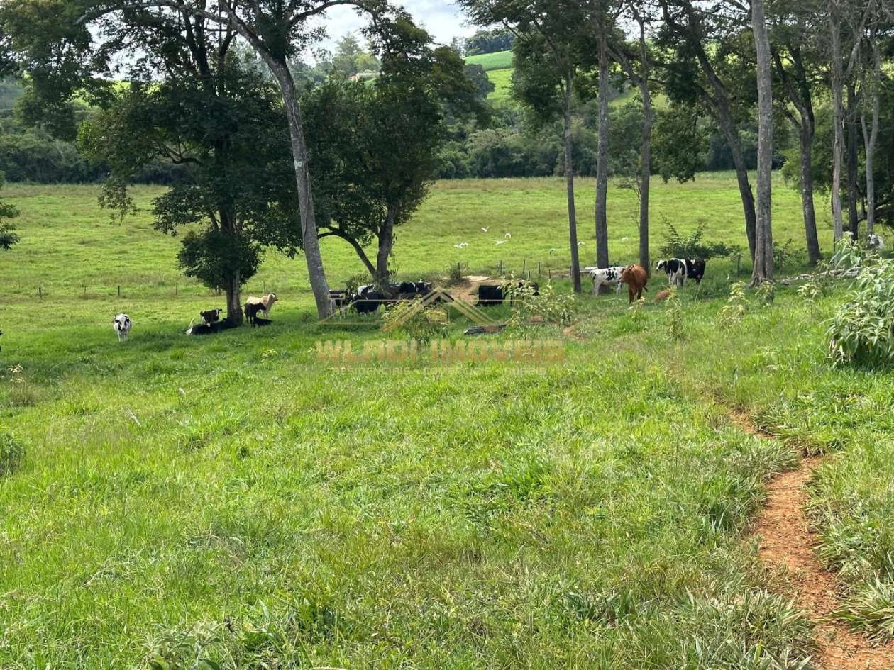 Fazenda, 14 m² - Foto 15