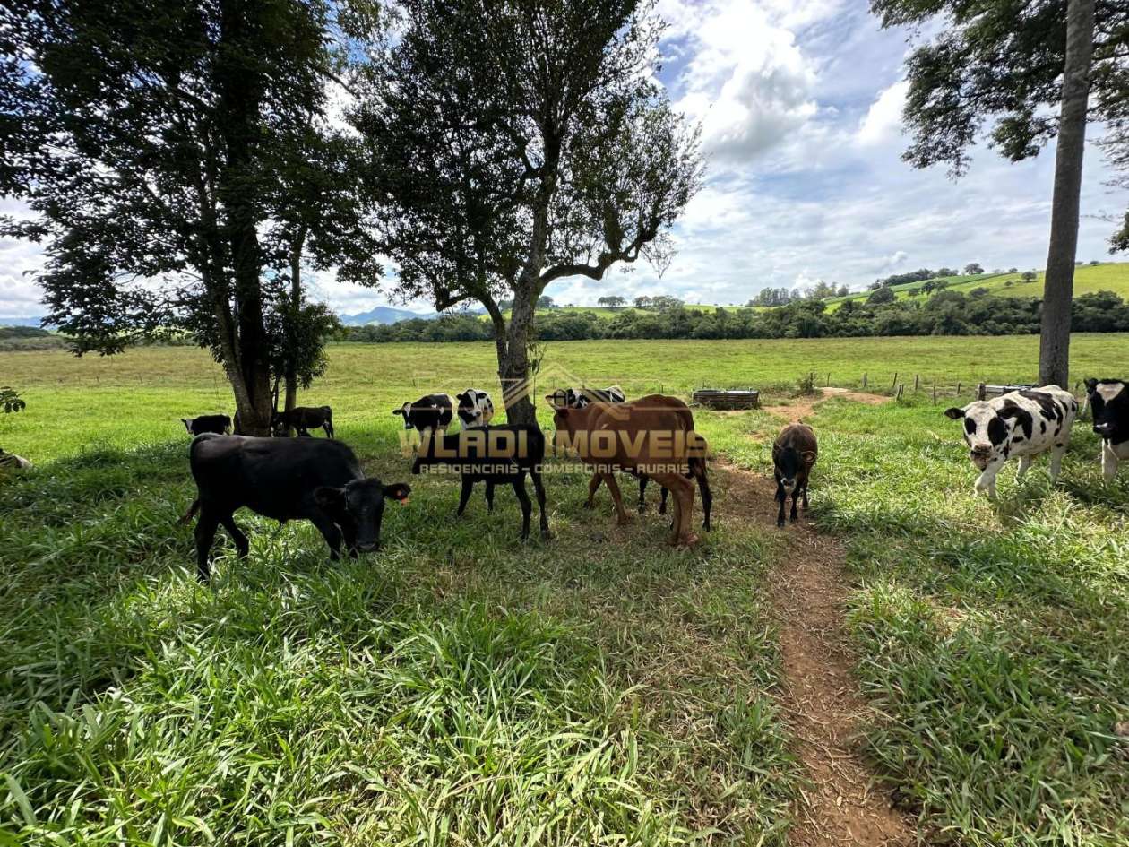 Fazenda, 14 m² - Foto 18