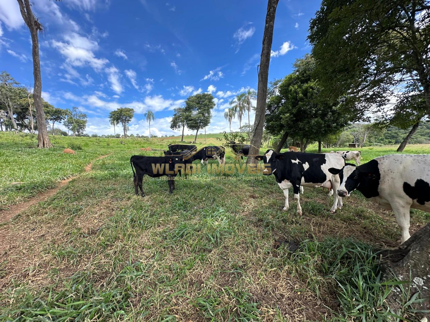 Fazenda, 14 m² - Foto 21