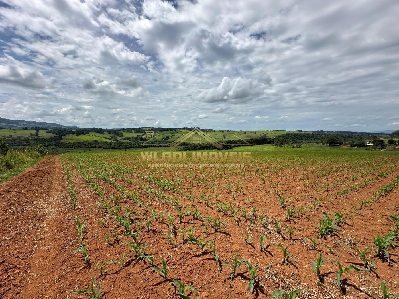 Fazenda, 14 m² - Foto 22