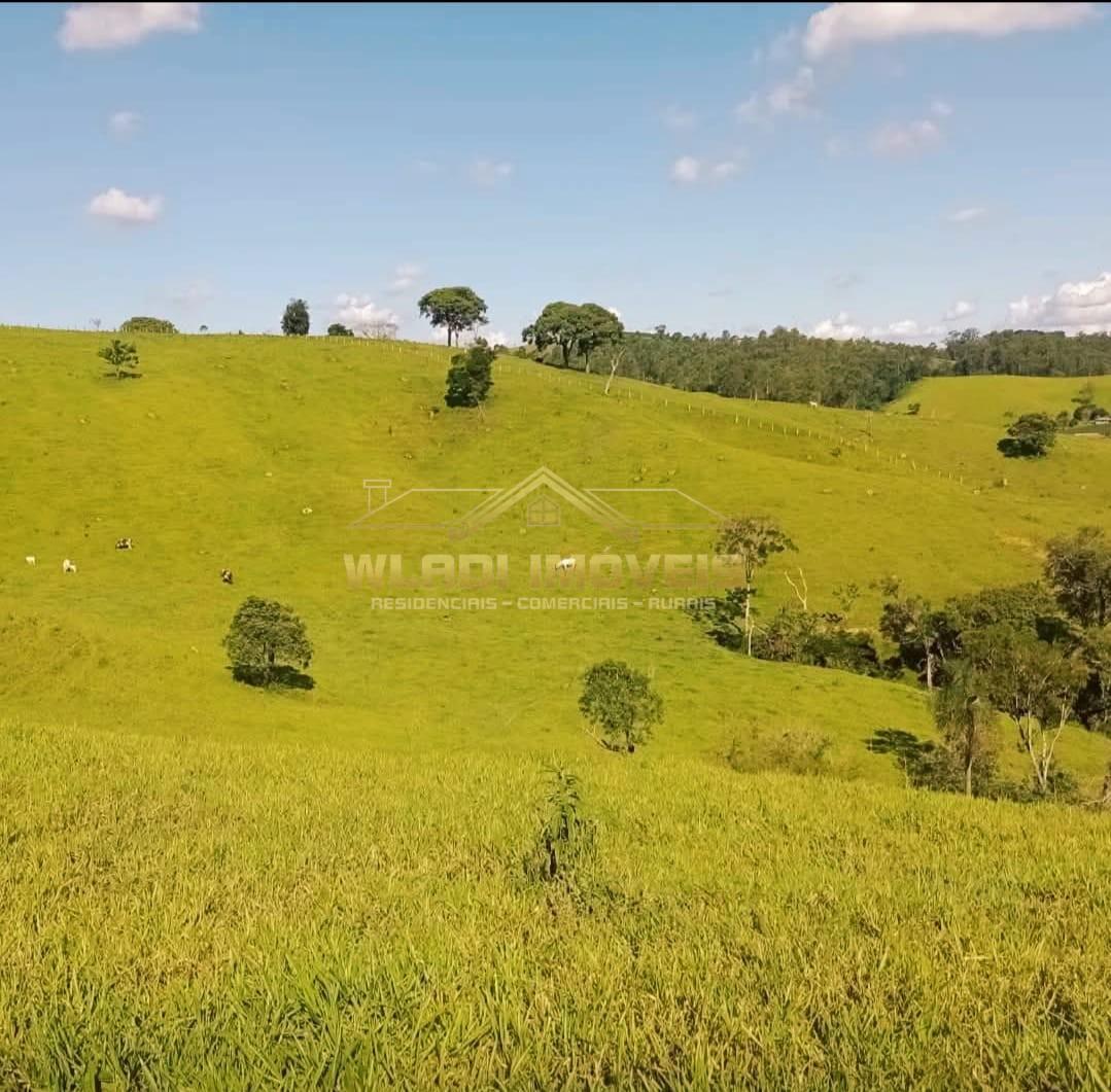 Sítio, 9 m² - Foto 3