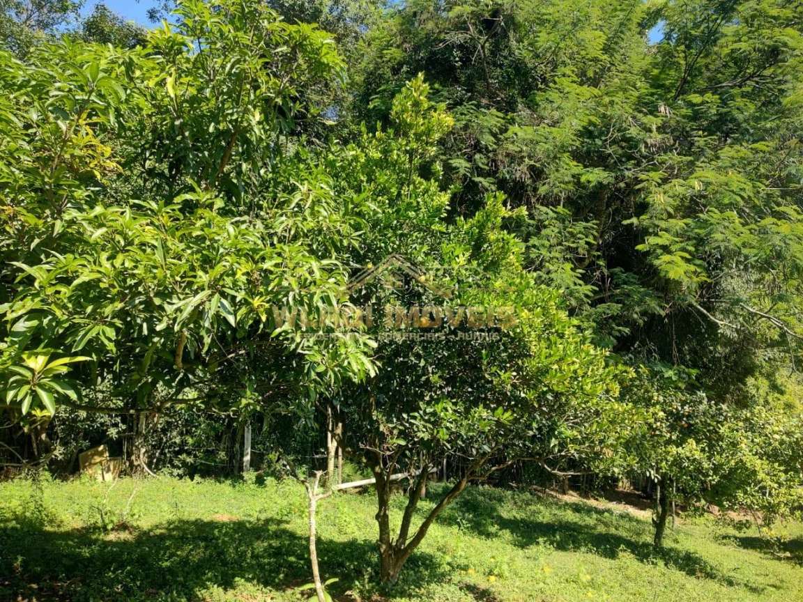 Sítio, 5 m² - Foto 11