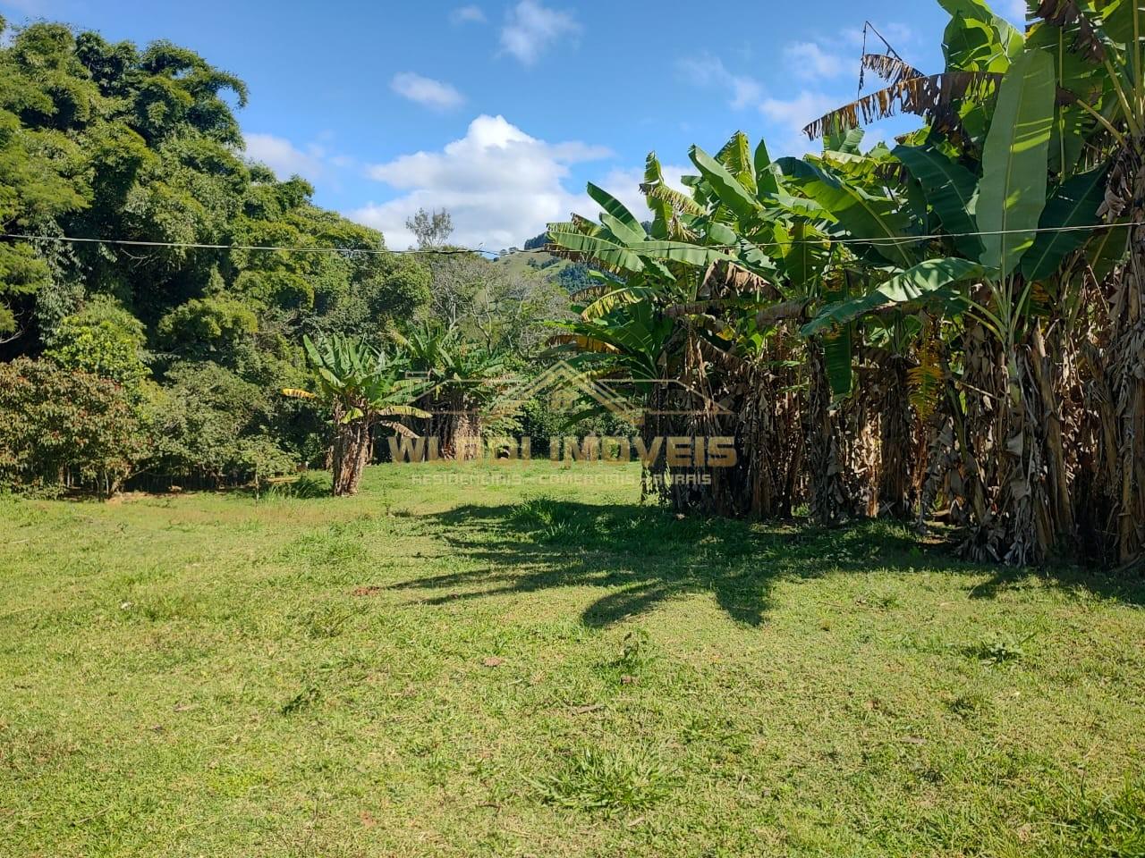 Sítio, 5 m² - Foto 13