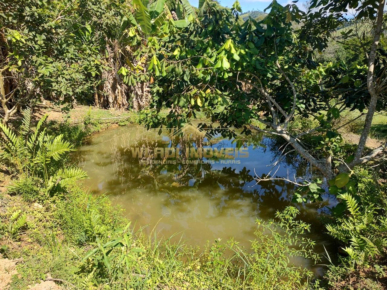 Sítio, 5 m² - Foto 4