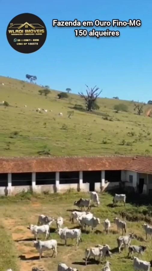 Fazenda, 150 m² - Foto 4