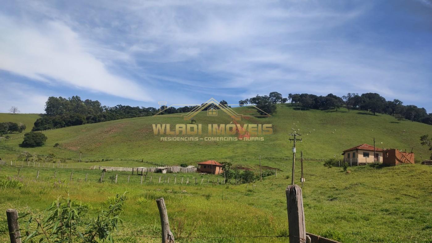 Sítio, 10 m² - Foto 3