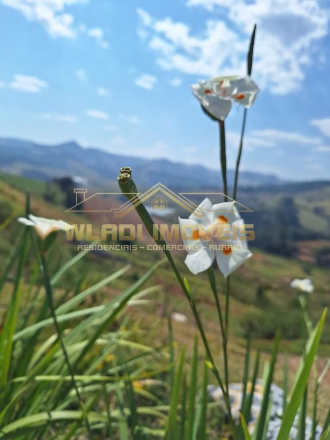 Chácara, 3 quartos, 2950 m² - Foto 49