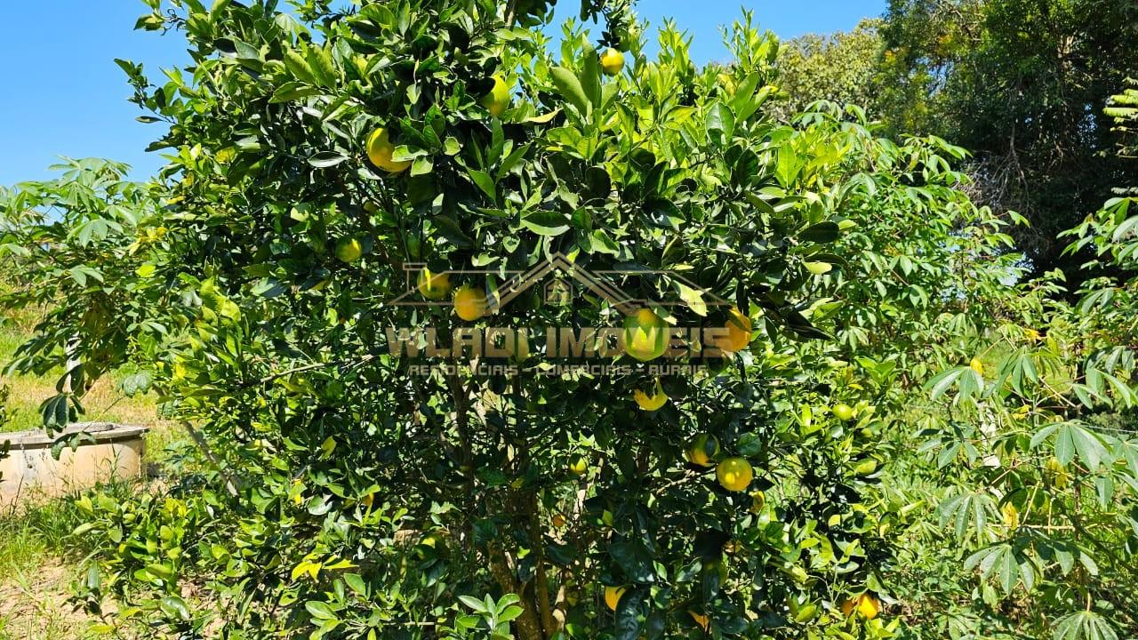 Chácara, 3 quartos, 5600 m² - Foto 17