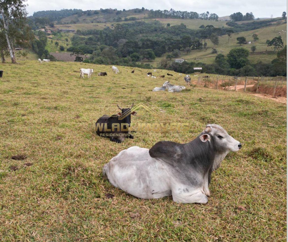 Fazenda, 315 m² - Foto 6