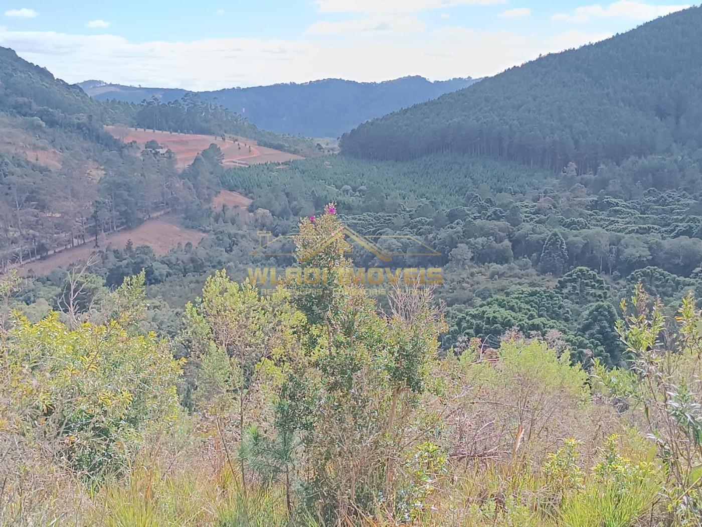 Fazenda, 100 m² - Foto 19