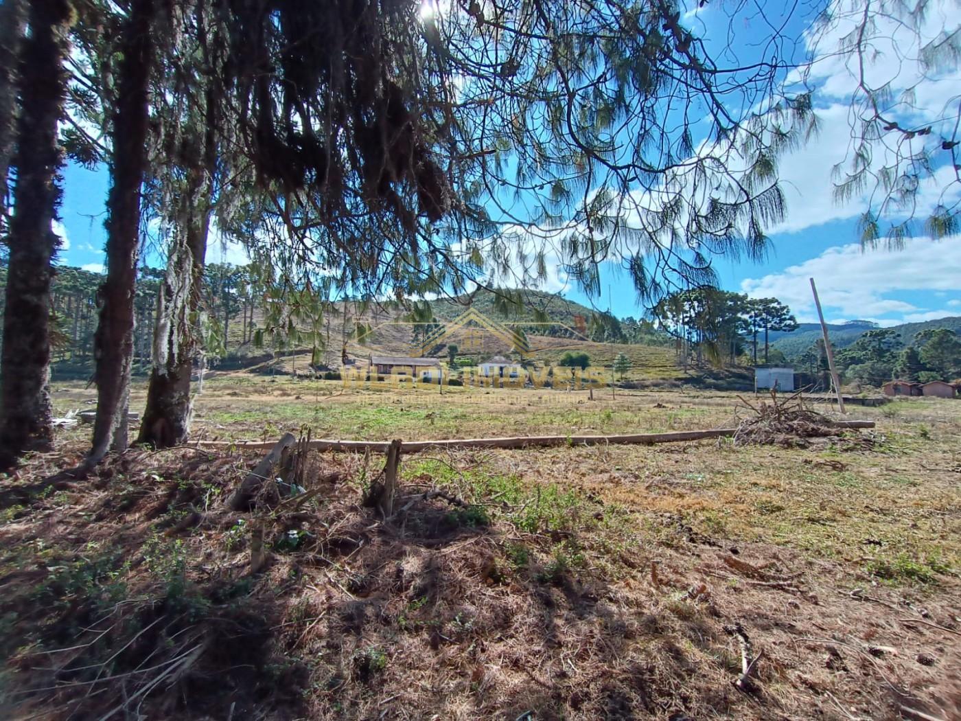 Fazenda, 100 m² - Foto 2