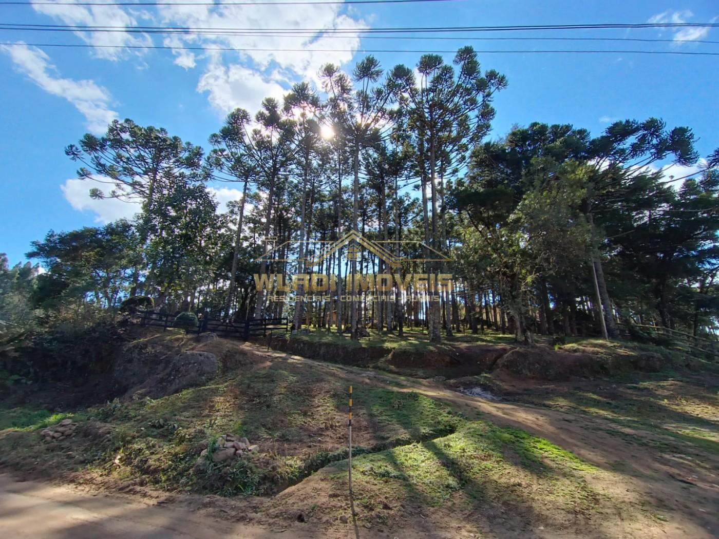 Fazenda, 100 m² - Foto 16