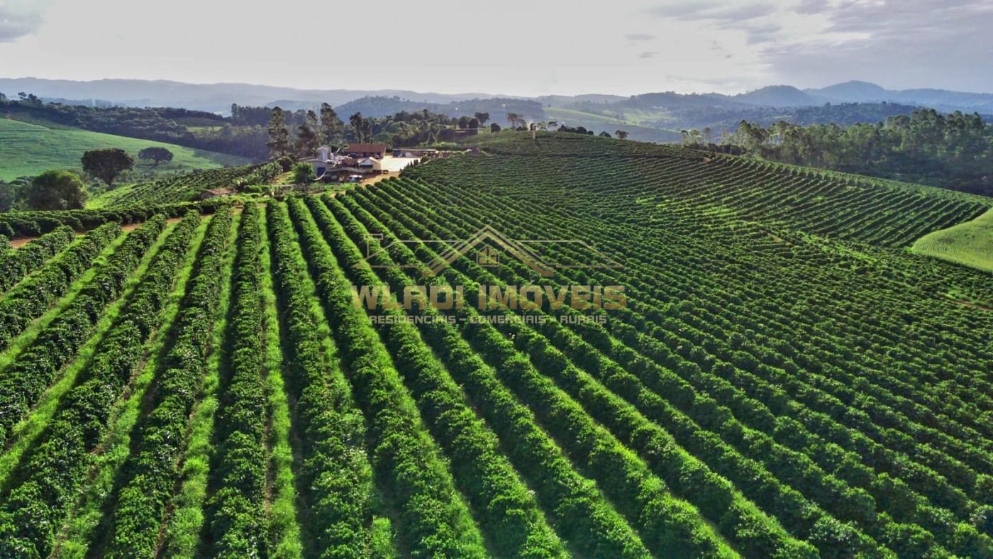 Fazenda, 40 m² - Foto 4