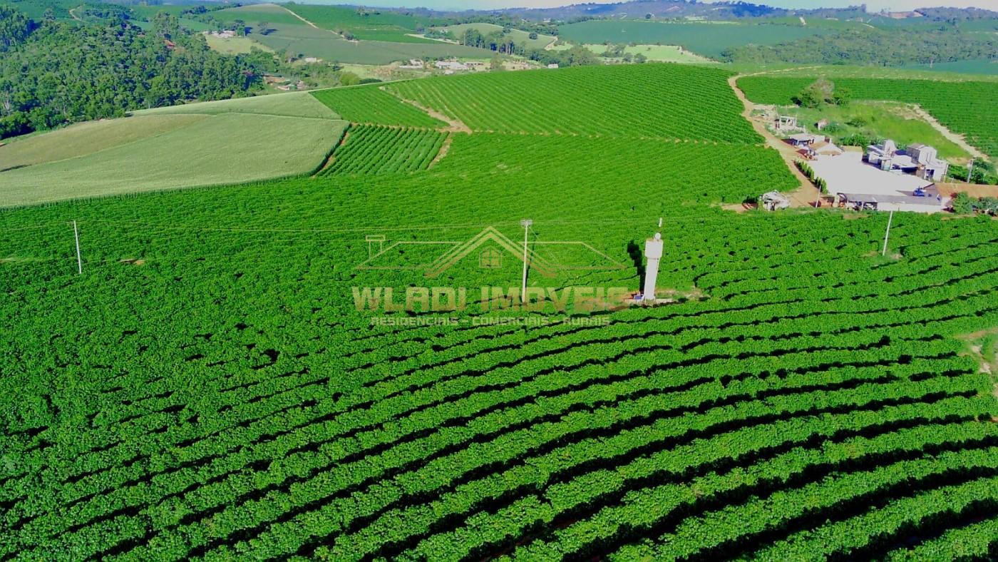 Fazenda, 40 m² - Foto 5