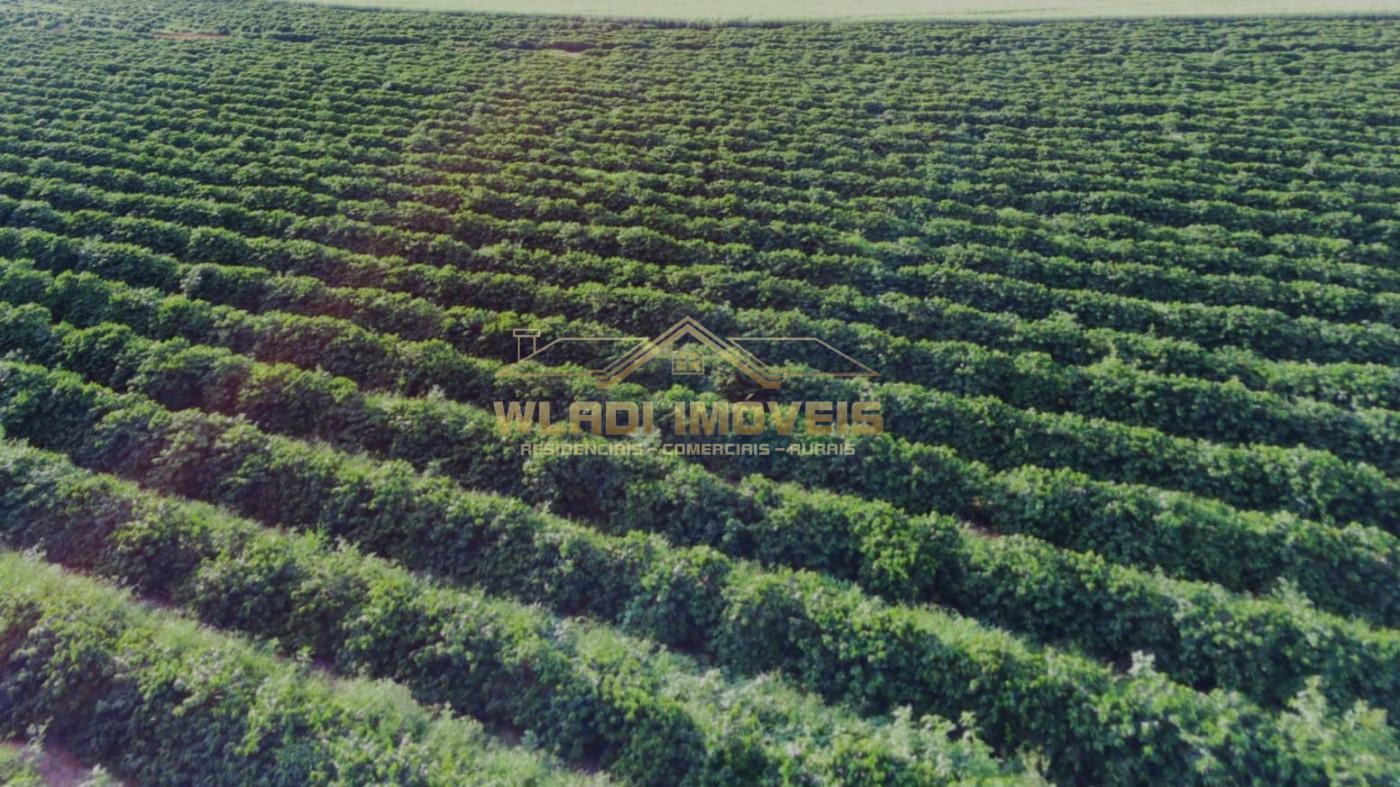 Fazenda, 40 m² - Foto 8