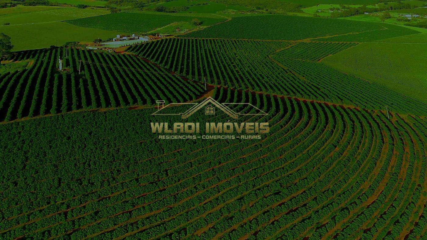 Fazenda, 40 m² - Foto 13