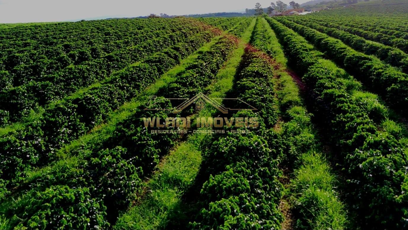 Fazenda, 40 m² - Foto 14