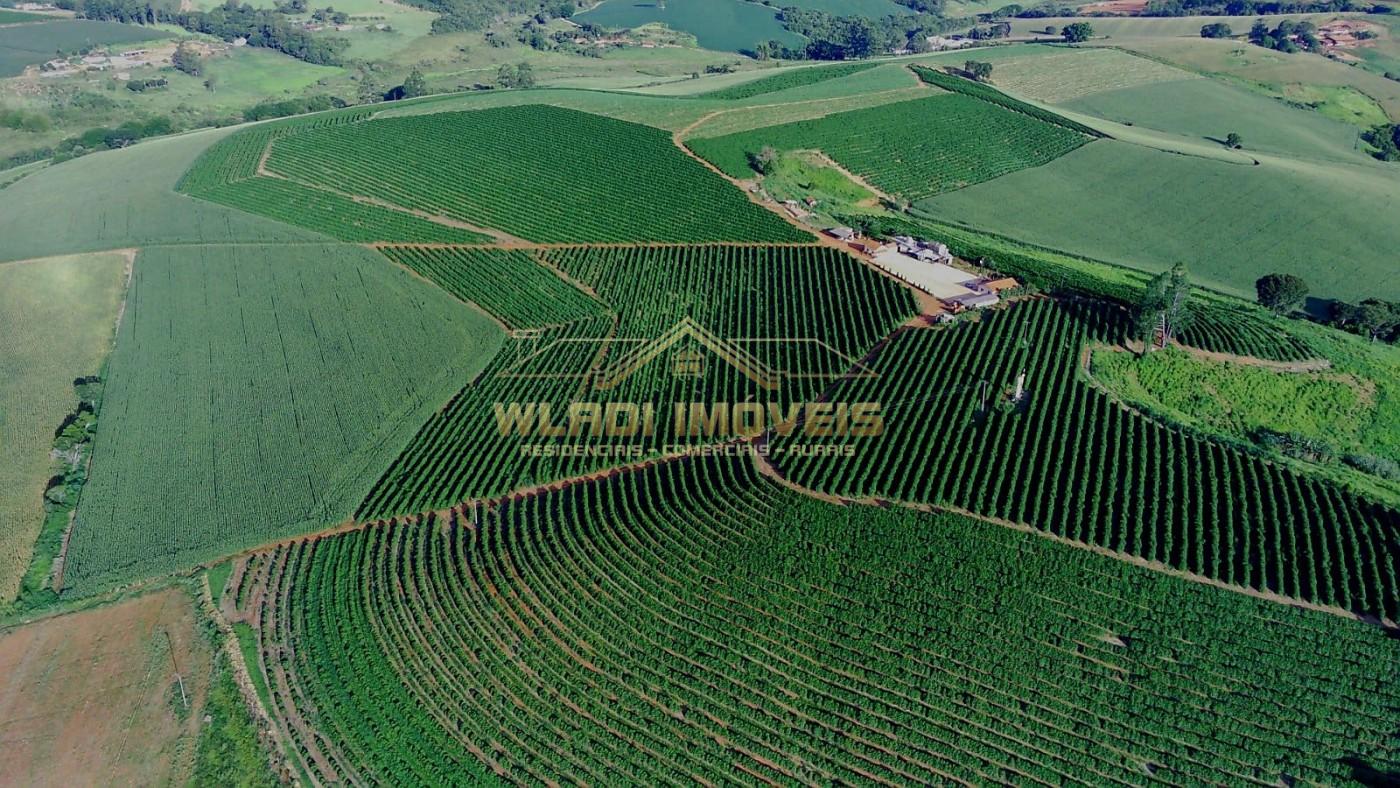 Fazenda, 40 m² - Foto 6