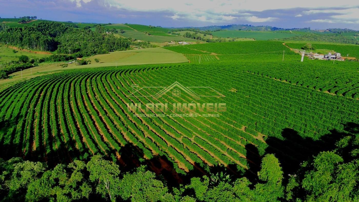 Fazenda, 40 m² - Foto 16