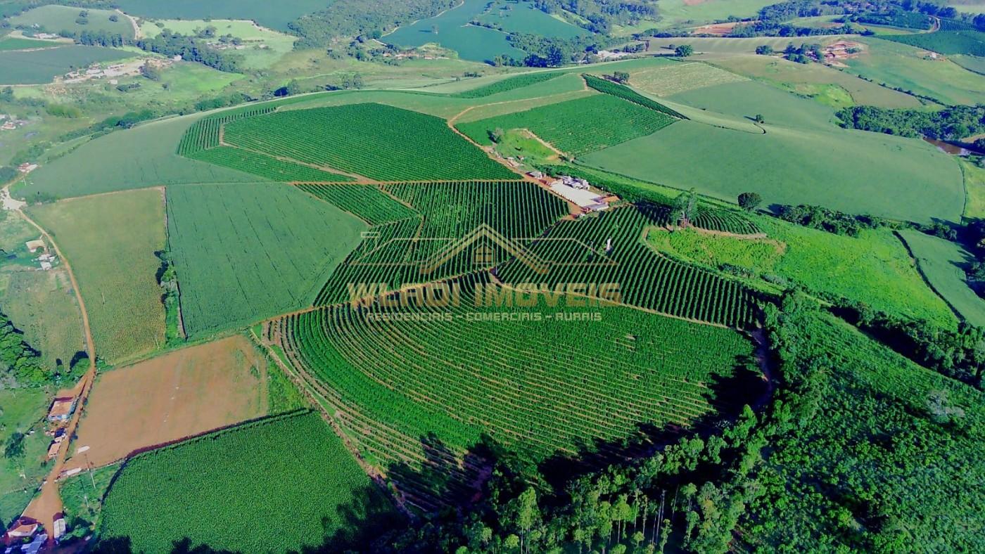 Fazenda, 40 m² - Foto 19