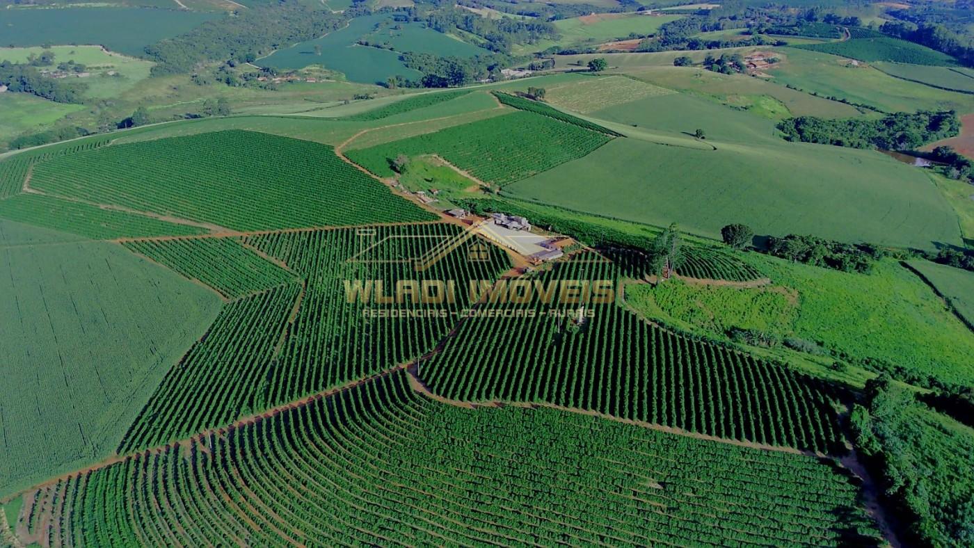 Fazenda, 40 m² - Foto 18