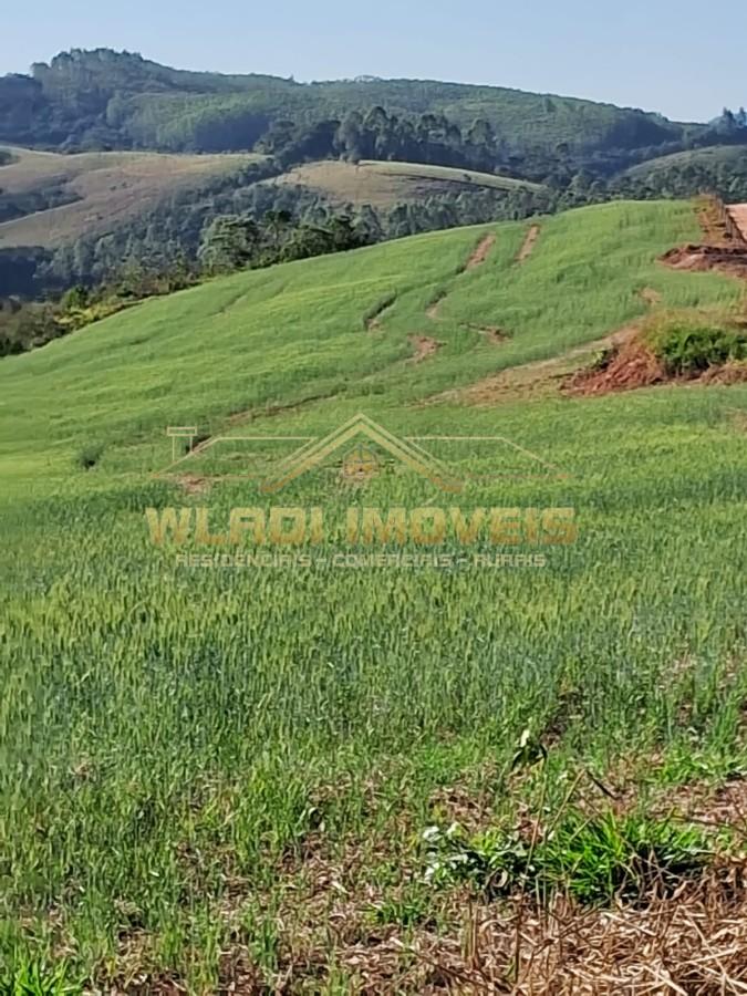 Fazenda, 700 m² - Foto 5