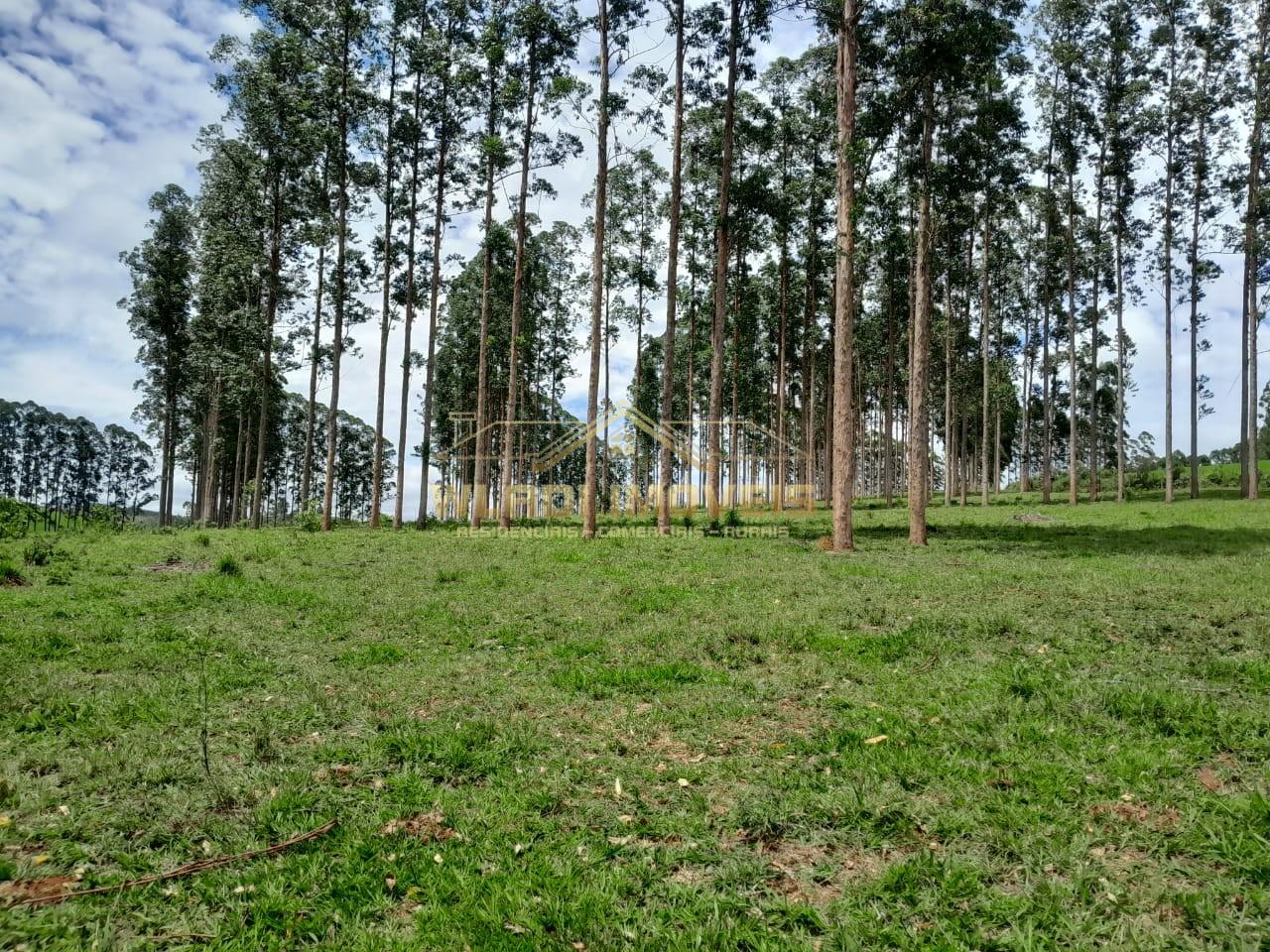 Fazenda, 700 m² - Foto 20