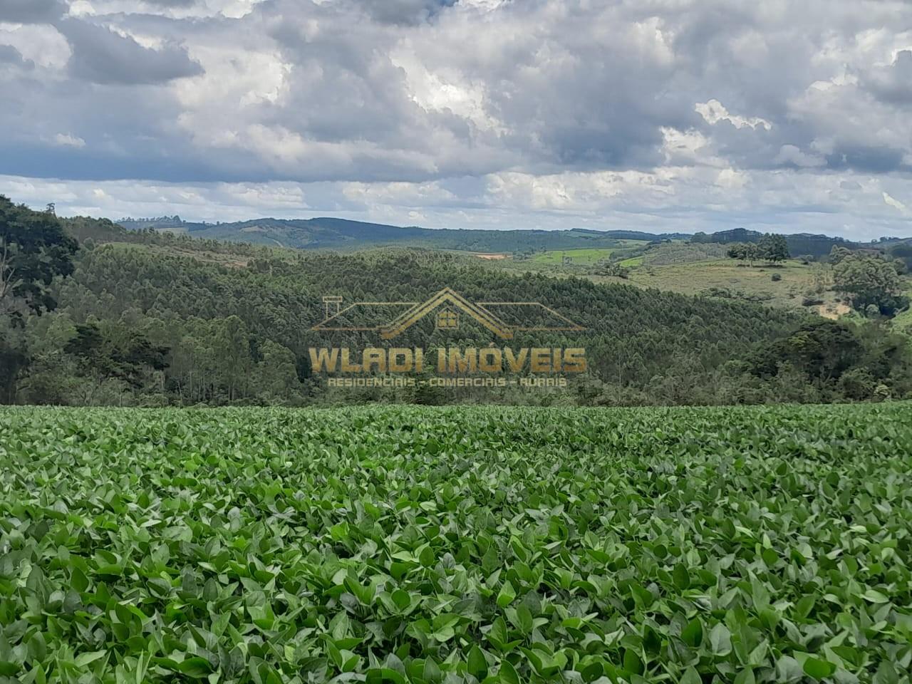 Fazenda, 700 m² - Foto 19