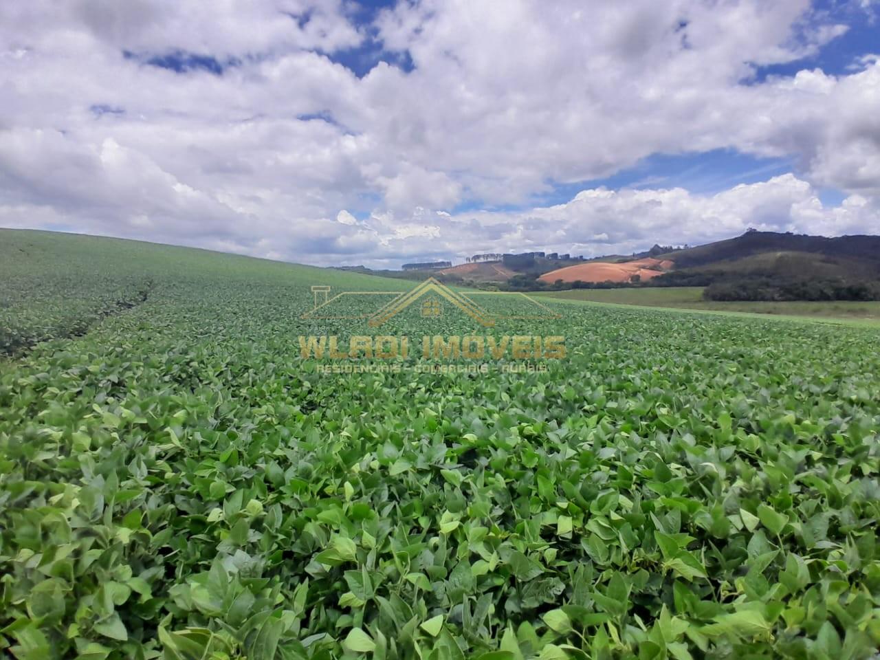 Fazenda, 700 m² - Foto 18