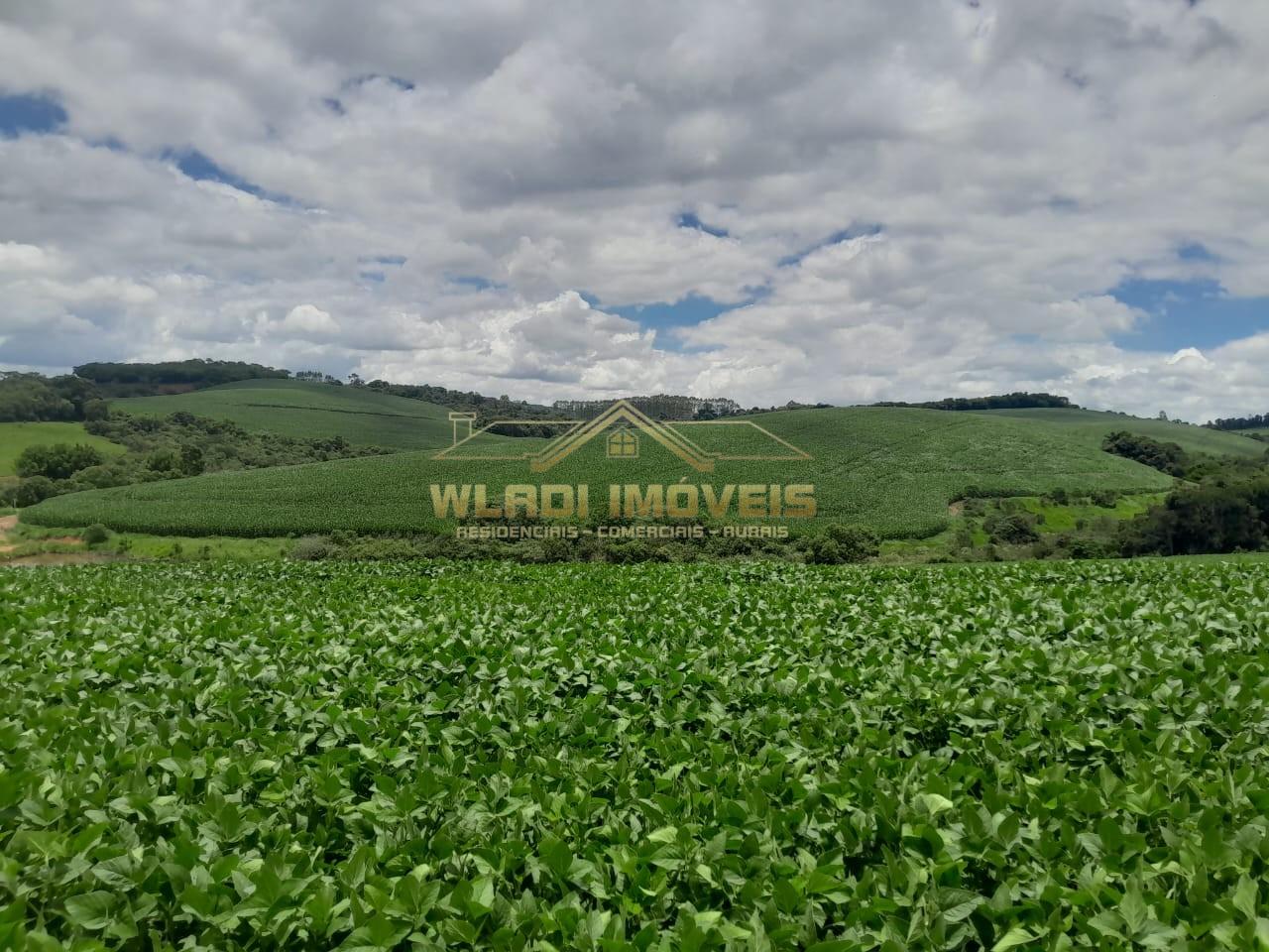 Fazenda, 700 m² - Foto 2