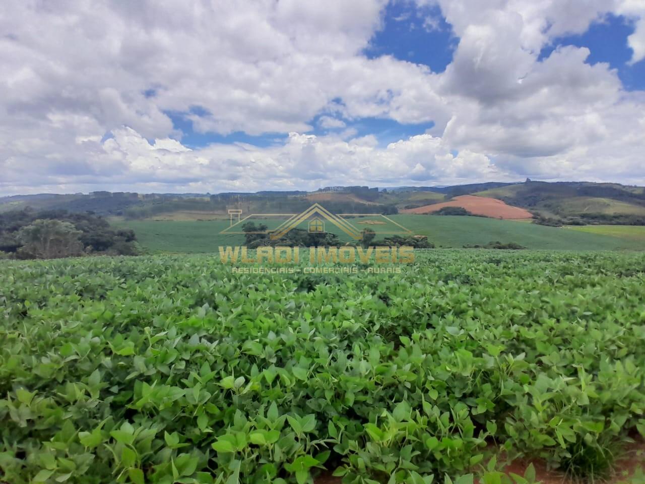 Fazenda, 700 m² - Foto 17