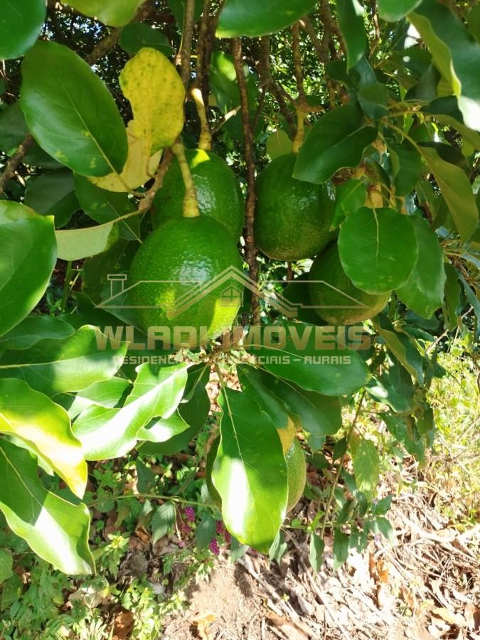 Fazenda, 13 m² - Foto 4