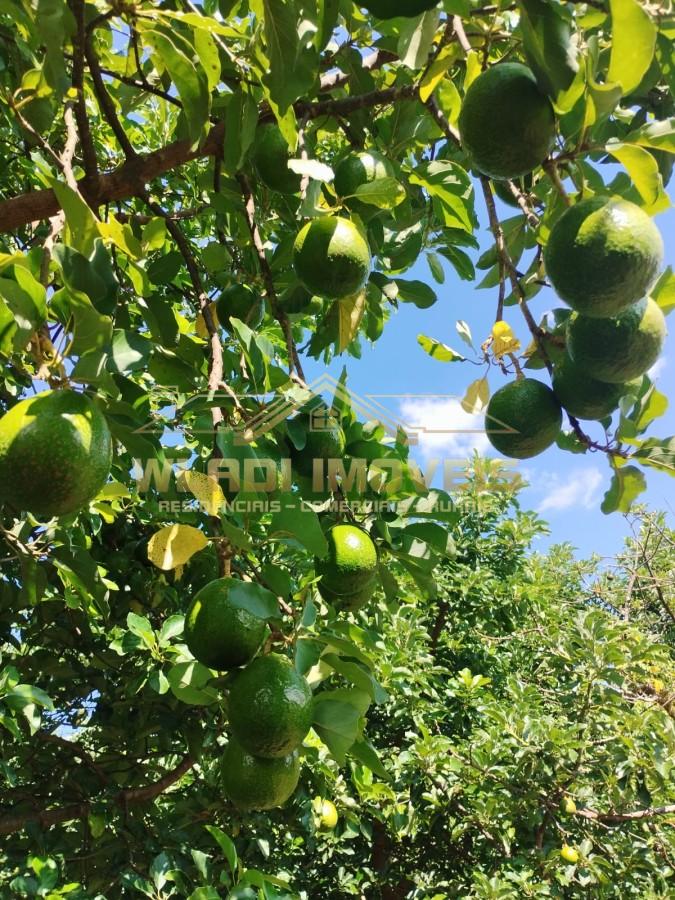 Fazenda, 13 m² - Foto 8