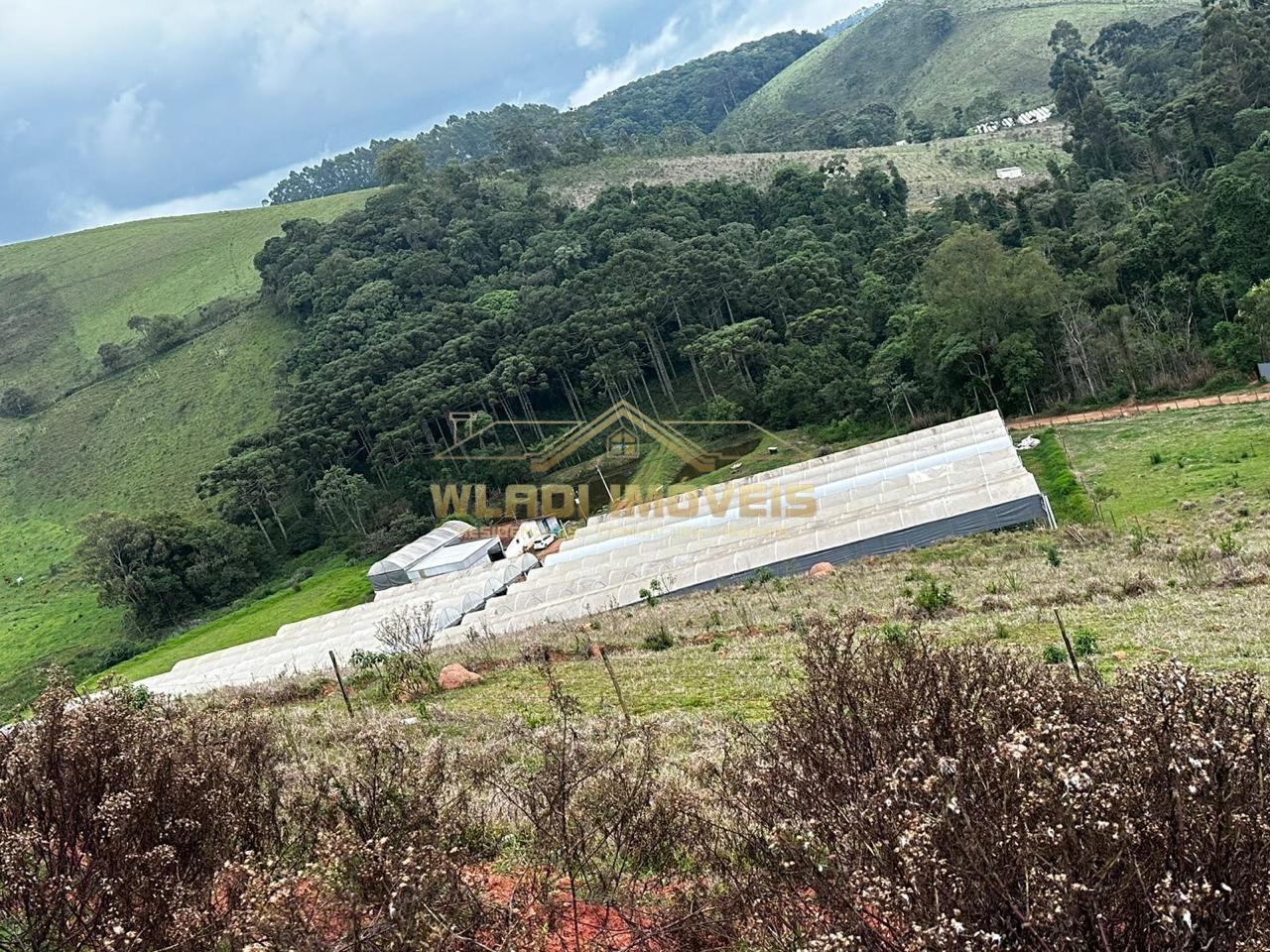 Fazenda, 10 hectares - Foto 6