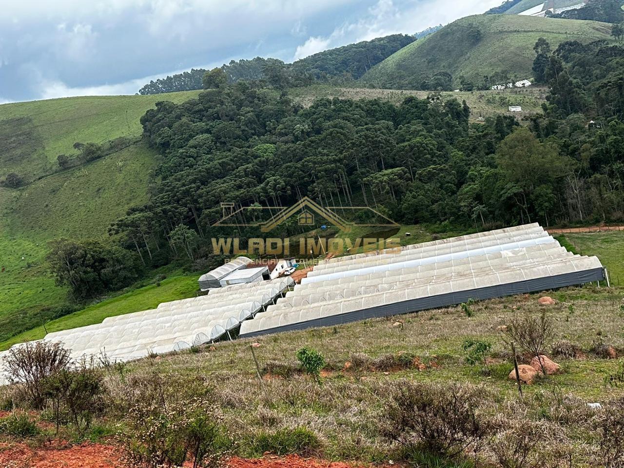 Fazenda, 10 hectares - Foto 5