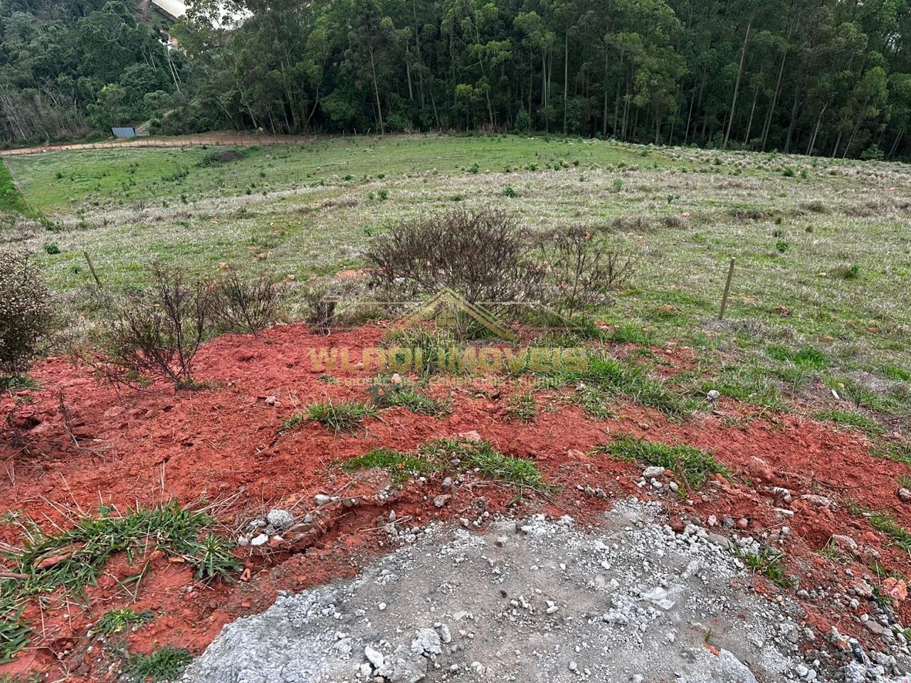 Fazenda, 10 hectares - Foto 3