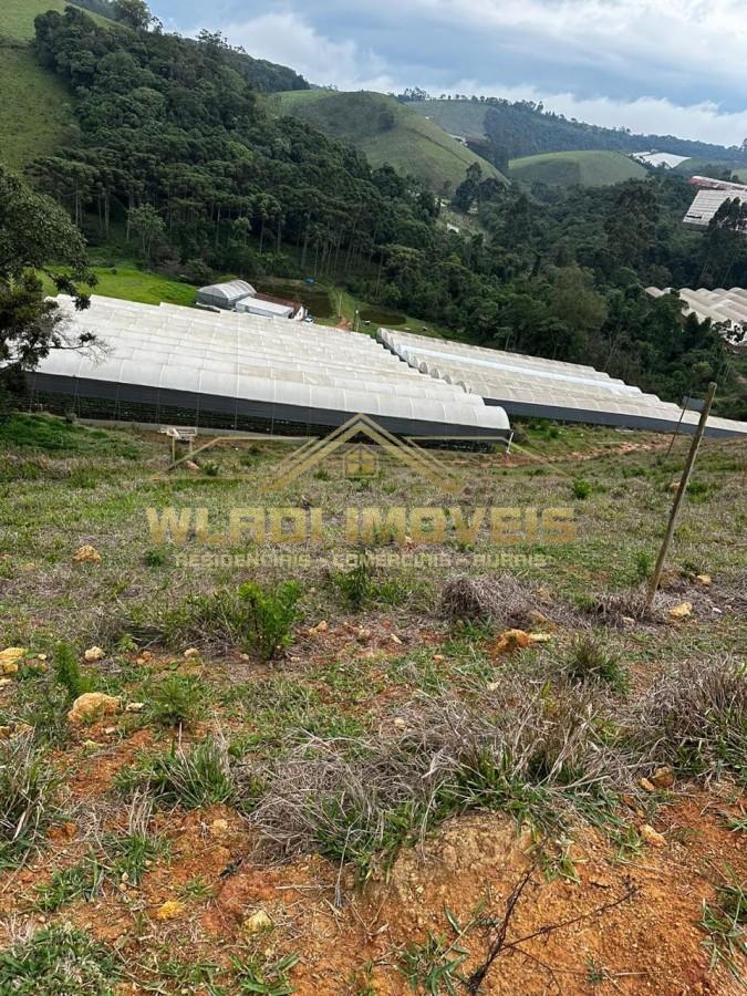 Fazenda, 10 hectares - Foto 1