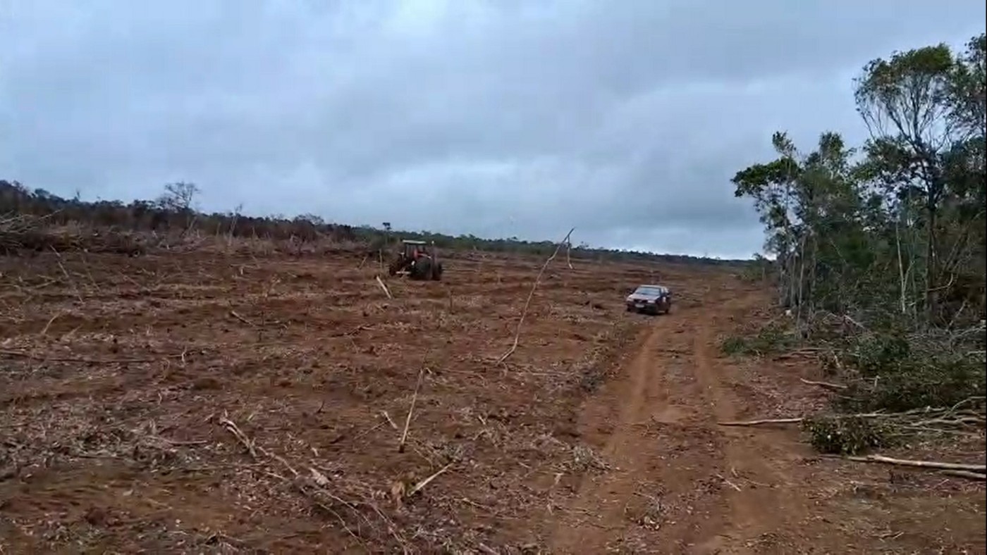 Fazenda, 2200 m² - Foto 12
