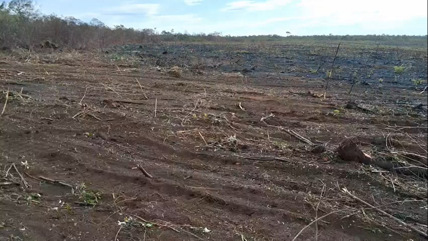 Fazenda, 2200 m² - Foto 8
