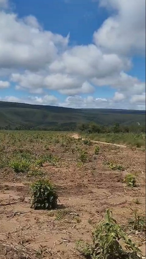 Fazenda, 2200 m² - Foto 7
