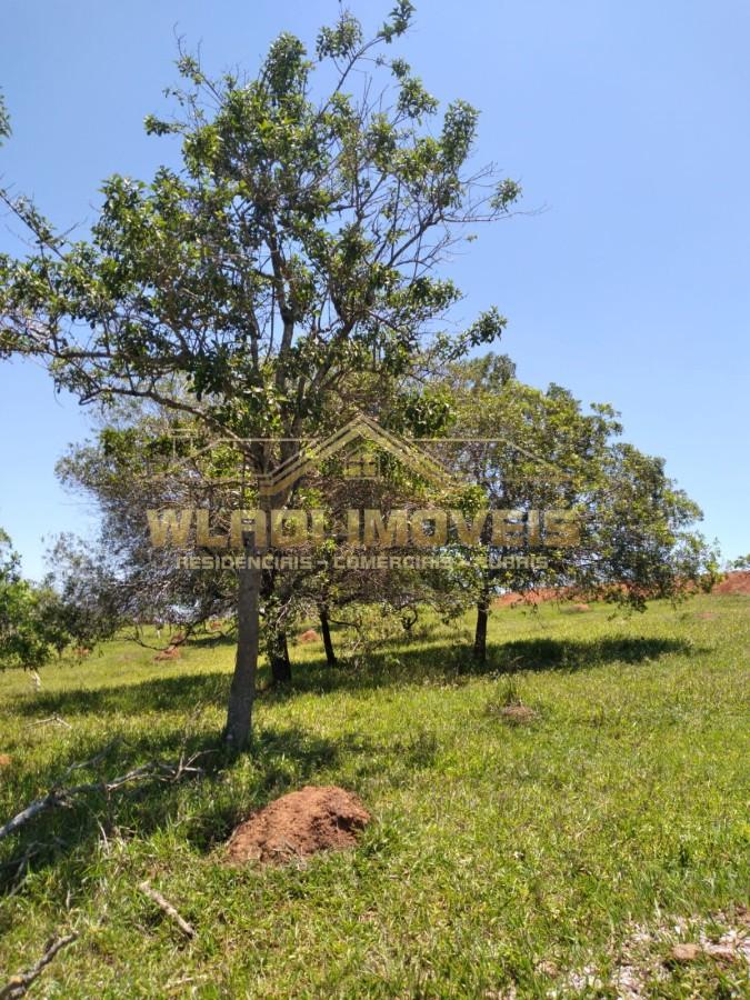 Terreno, 1 hectares - Foto 3
