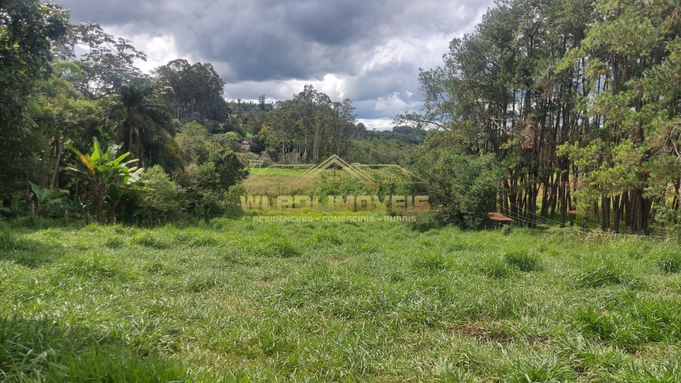 Fazenda, 7000 m² - Foto 3
