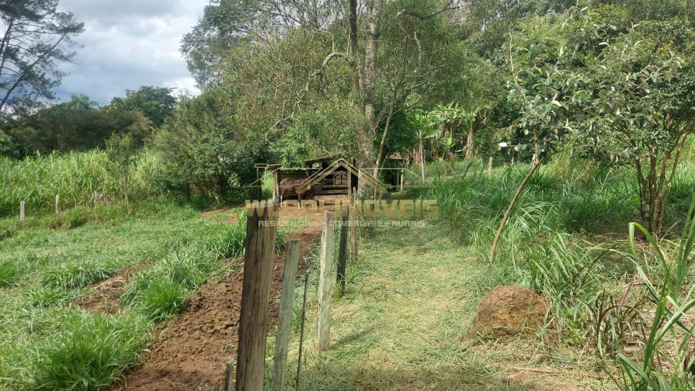 Fazenda, 7000 m² - Foto 12