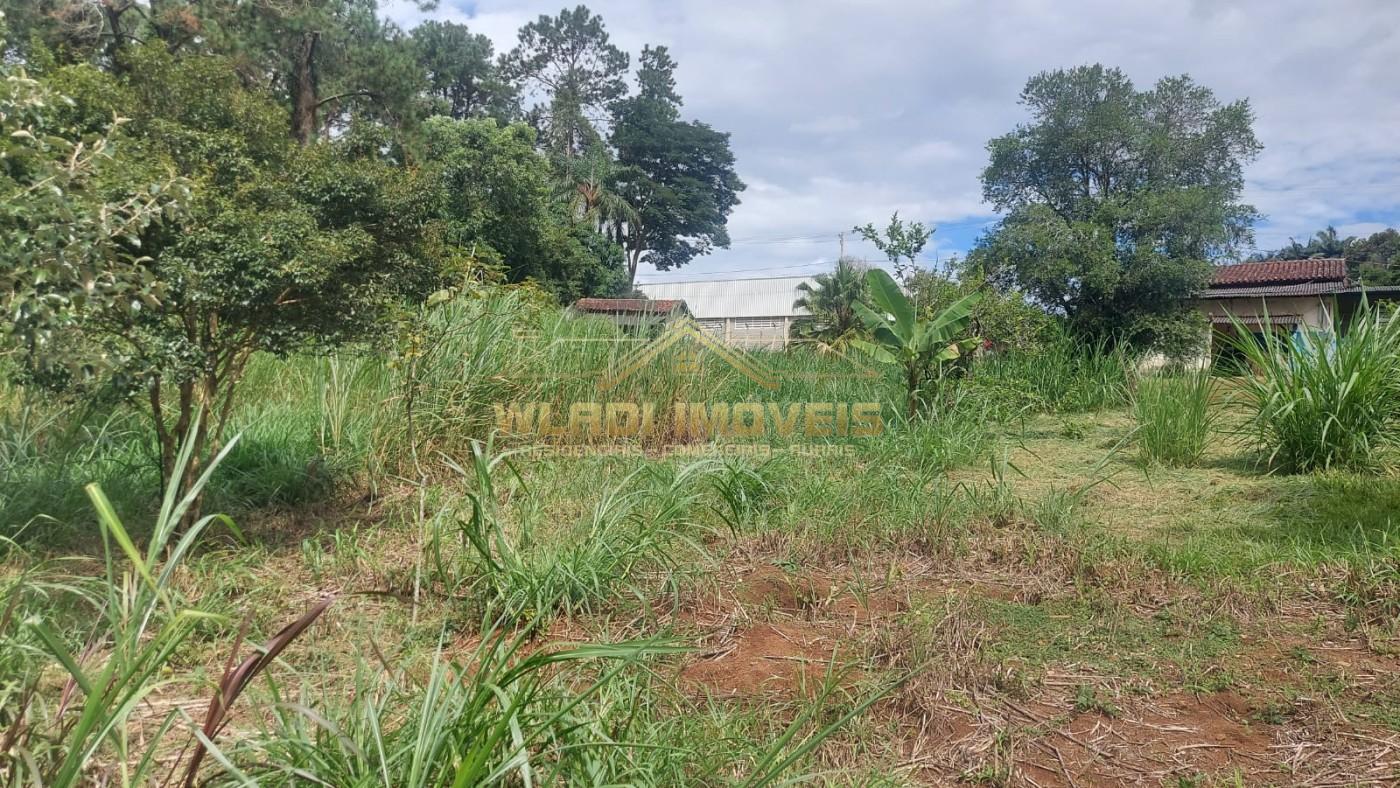 Fazenda, 7000 m² - Foto 14