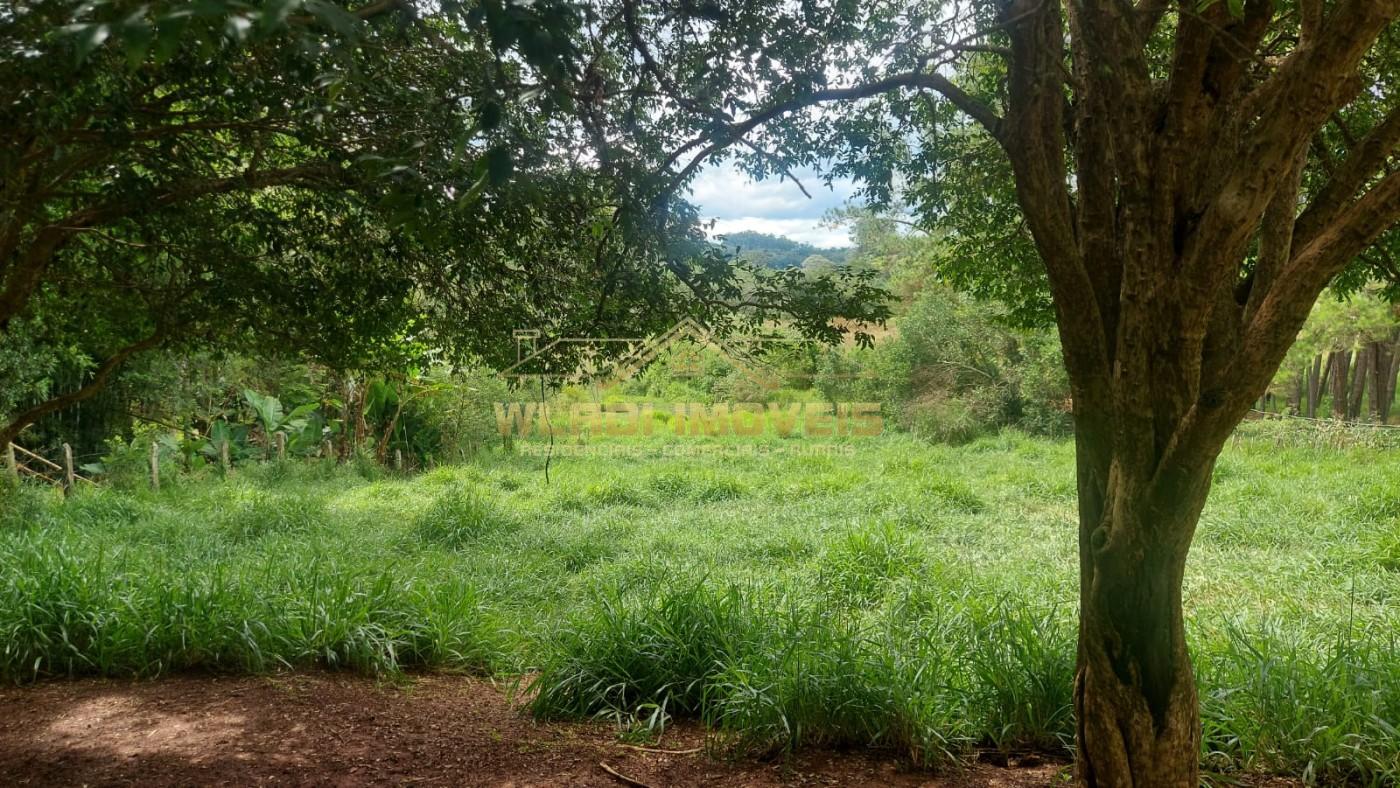 Fazenda, 7000 m² - Foto 11