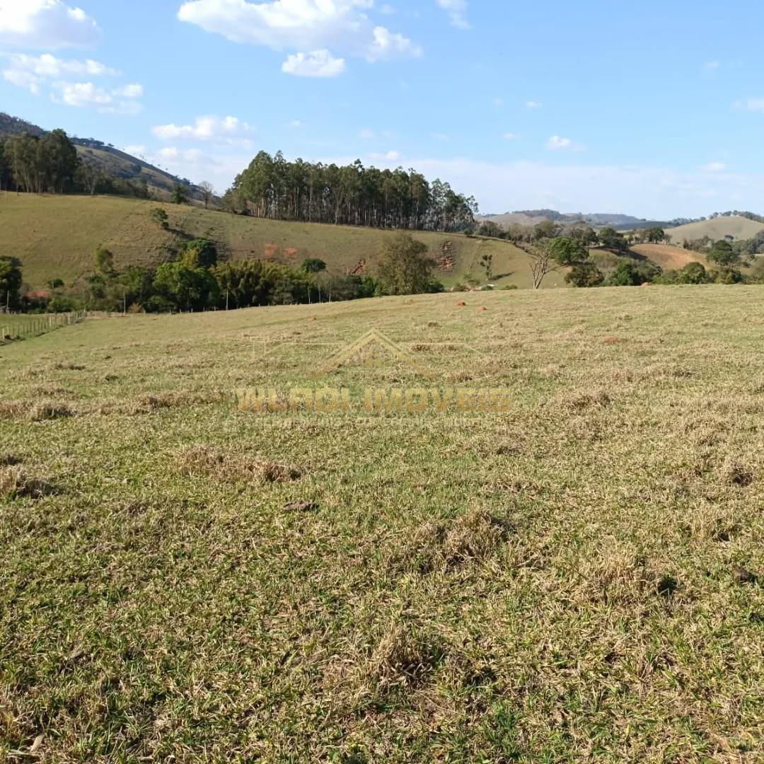 Fazenda, 5 hectares - Foto 6